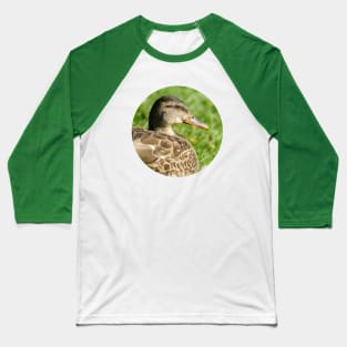 Female Mallard in the Grass Photograph Baseball T-Shirt